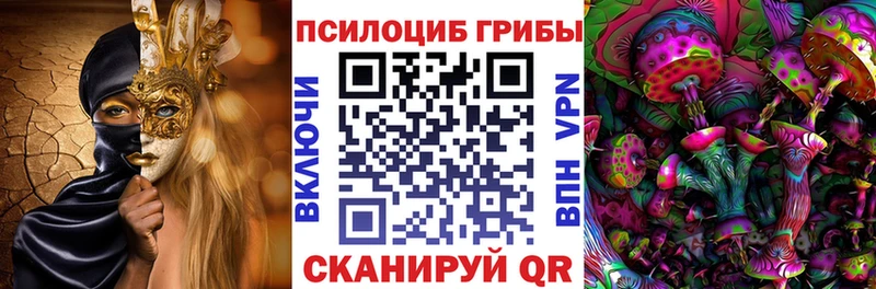 Псилоцибиновые грибы прущие грибы  Елизаветинская 